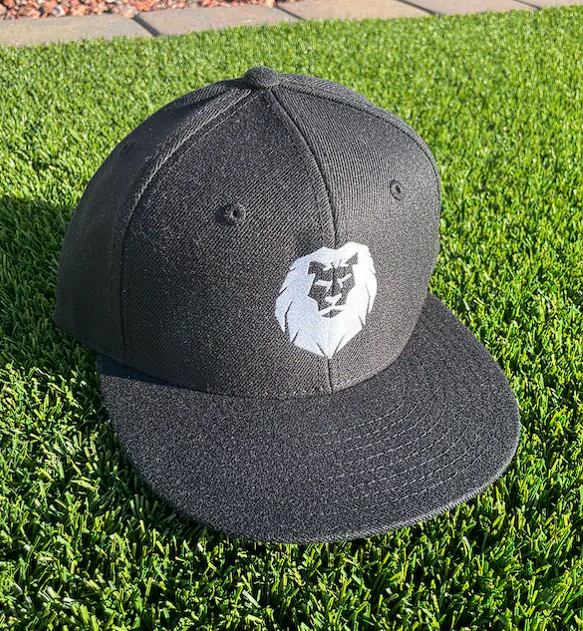 embroidered padres hat｜TikTok Search